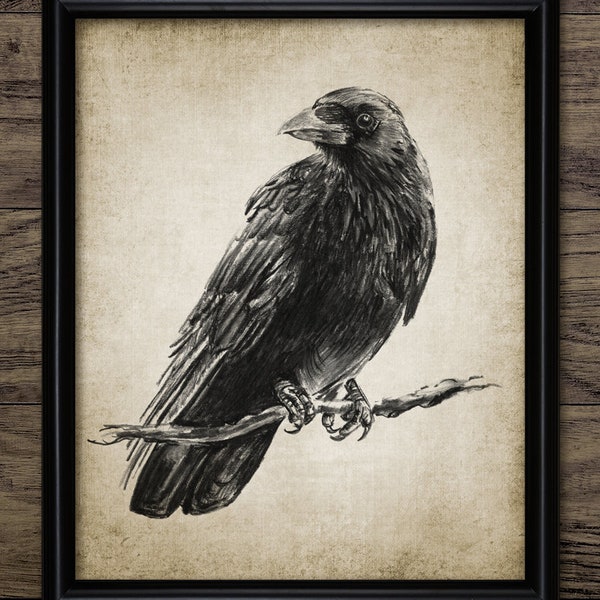 Raven Charcoal Drawing, Printable Raven, Raven Poster, Gothic Decor, Witchcraft, Black Bird, Printable Raven Wall Art #3940 INSTANT DOWNLOAD