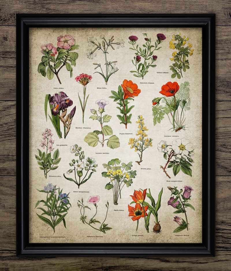 Wild Flower Wall Art Printable Flowers Wild Flower Living | Etsy