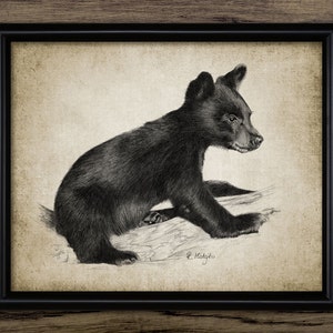 Black Bear Cub Print - Black Bear Illustration - Black Bear Decor - Digital Art - Printable Art ...