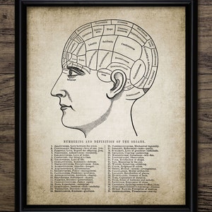 Phrenology Wall Art, Printable Brain, Neuroscience, Skull Morphology, Neuroanatomy, Physiology, Cerebral Cortex #304 INSTANT DOWNLOAD