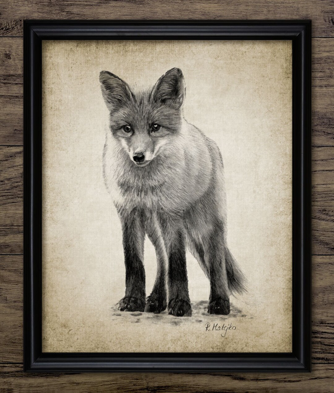 Fox Pencil Drawing, Printable Fox Drawing, Red Fox, Fox Wall Art, Red ...