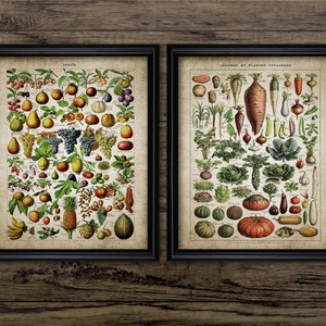 Vintage Fruit And Vegetable Art Print Set Of 2, Printable Vegetables, Rustic Kitchen Vegetable Art, Kitchen Fruit #3783 INSTANT DOWNLOAD