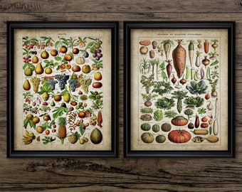 Vintage Fruit And Vegetable Art Print Set Of 2, Printable Vegetables, Rustic Kitchen Vegetable Art, Kitchen Fruit #3783 INSTANT DOWNLOAD