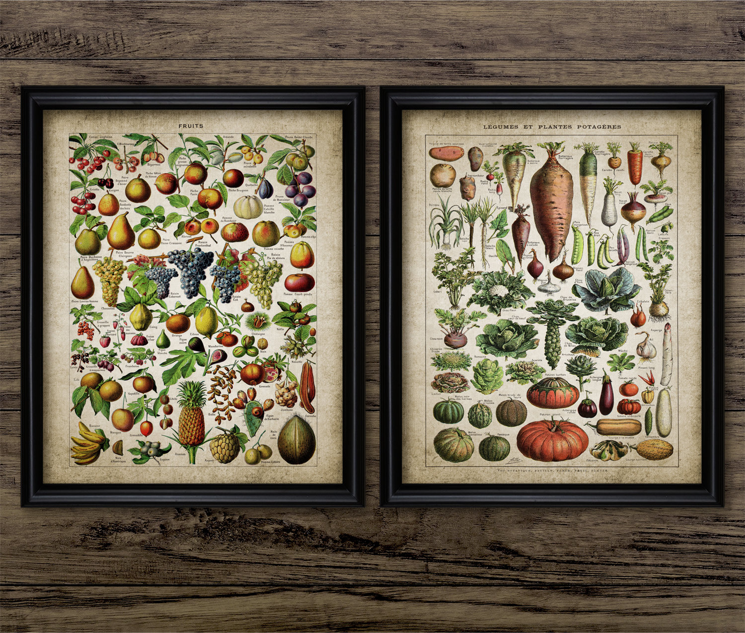 INSTANT DOWNLOAD Set of 2 Botanical Print Set Still Life Print Kitchen Printable Art Set Download Vegetable Print Set