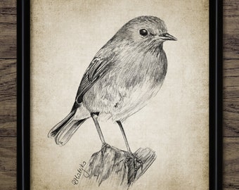 ロビンの鉛筆画、印刷可能なロビンの絵、ロビンの鳥の装飾