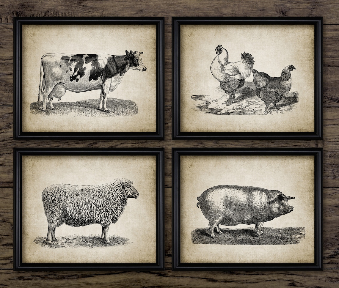 Vintage Farm Animal Wall Art Set of 4 Farming Wall Art Cow Etsy