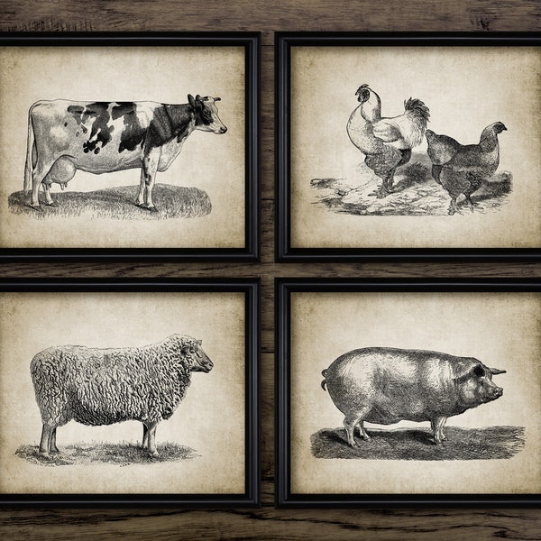 Vintage Farm Animal Wall Art Set Of 4, Farming Wall Art, Cow, Cattle, Chicken, Chickens, Sheep, Pig, Farmer Gift Idea #3112 INSTANT DOWNLOAD