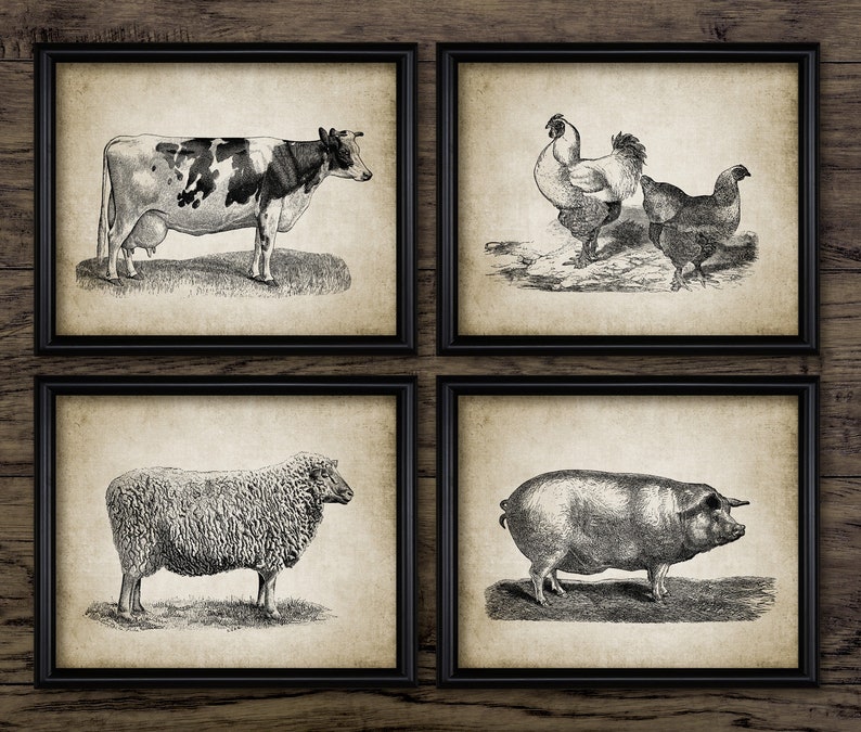 Vintage Farm Animal Wall Art Set of 4 Farming Wall Art Cow Etsy