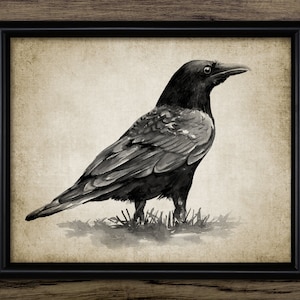 Raven Wall Art, Printable Watercolour Raven Painting, Raven Bird, Crow, Jackdaw, Raven Bird Wall Art, Gothic Bird Art #3471 INSTANT DOWNLOAD