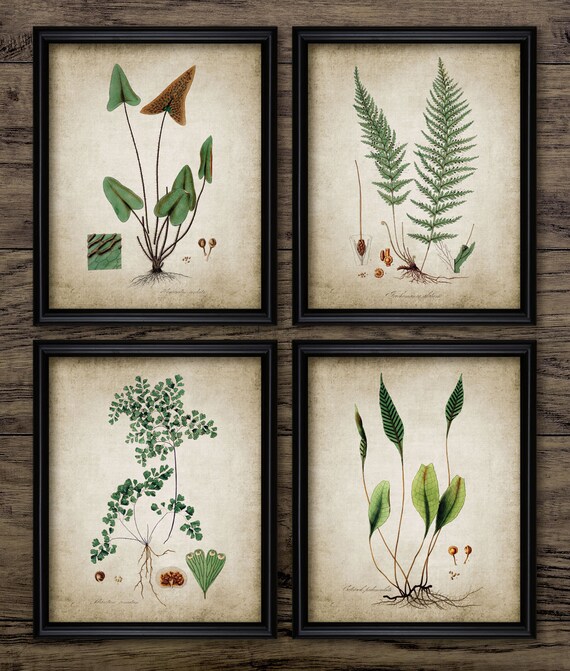 Botanical Wall Art Set of 4, Printable Plant Art, Vintage Botanical, Botany, Leaf, Green Leaves, Woodland, Forest #176 INSTANT DOWNLOAD