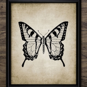 Butterfly Wall Art, Printable Butterfly, Rustic Decor, Butterfly Illustration, Vintage Printable Art, Butterfly Art #17 INSTANT DOWNLOAD