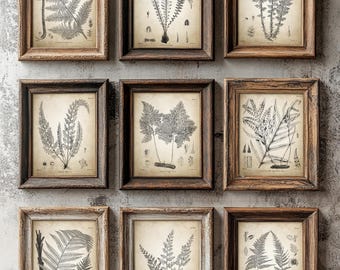 Antique Ferns Print Set of 9, Vintage Fern Botanical Sketches, Rustic Wall Art, Neutral Cottagecore Decor, Forest Inspired Prints