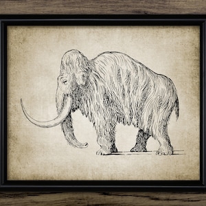 Vintage Mammoth Wall Art, Mammoth Print, Mammoth Drawing, Prehistoric Mammal Poster, Ice Age Wall Art #3171 INSTANT DOWNLOAD