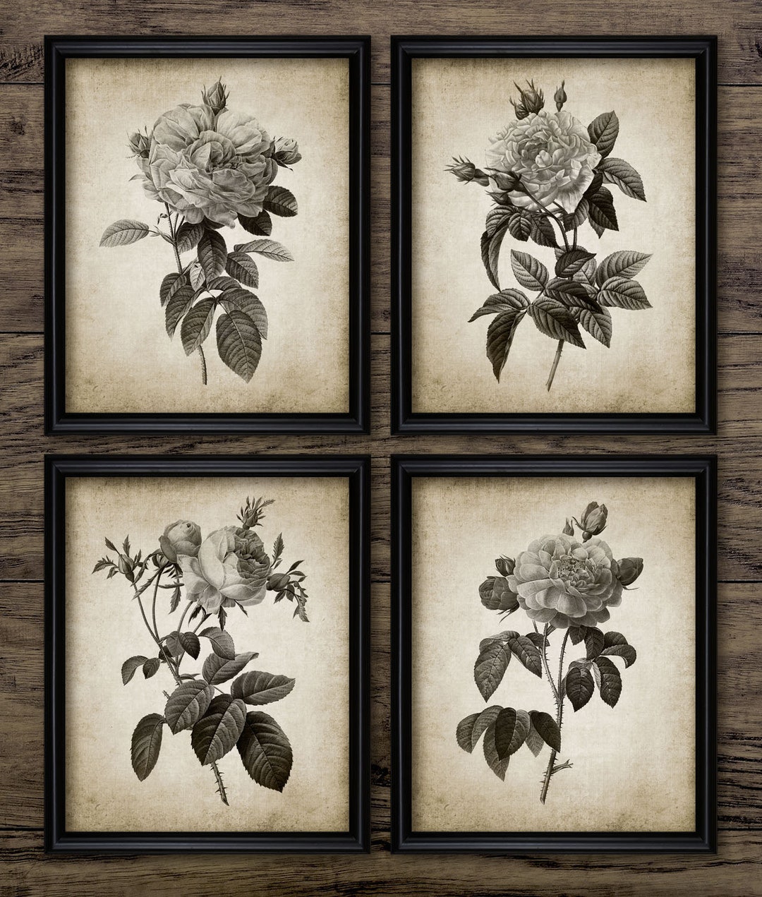 Vintage Rose Wall Art Set of 4, Printable Roses, Vintage Botanical ...