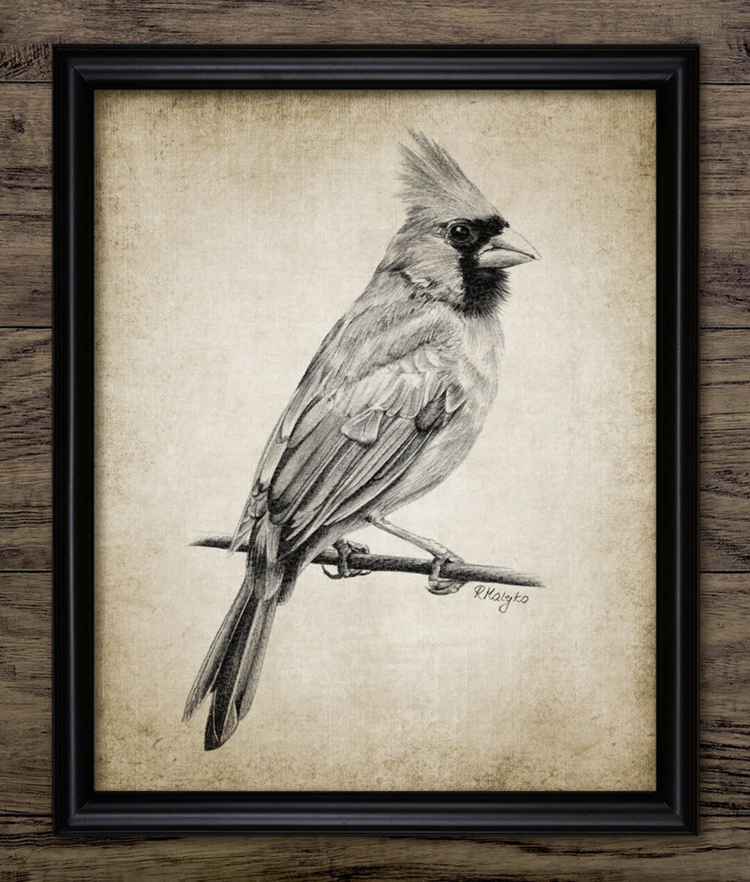 40 Beautiful Bird Drawings and Art works for your inspiration
