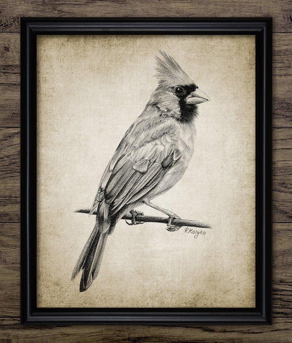 Falcon Bird, Colour Sketch In Wooden Frame at Rs 550 | color Art Sketch in  Hyderabad | ID: 25283373655