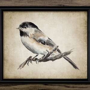 Chickadee Watercolor Painting, Printable Chickadee Watercolor Art, American Bird Art, Chickadee Wall Art #3418 INSTANT DOWNLOAD