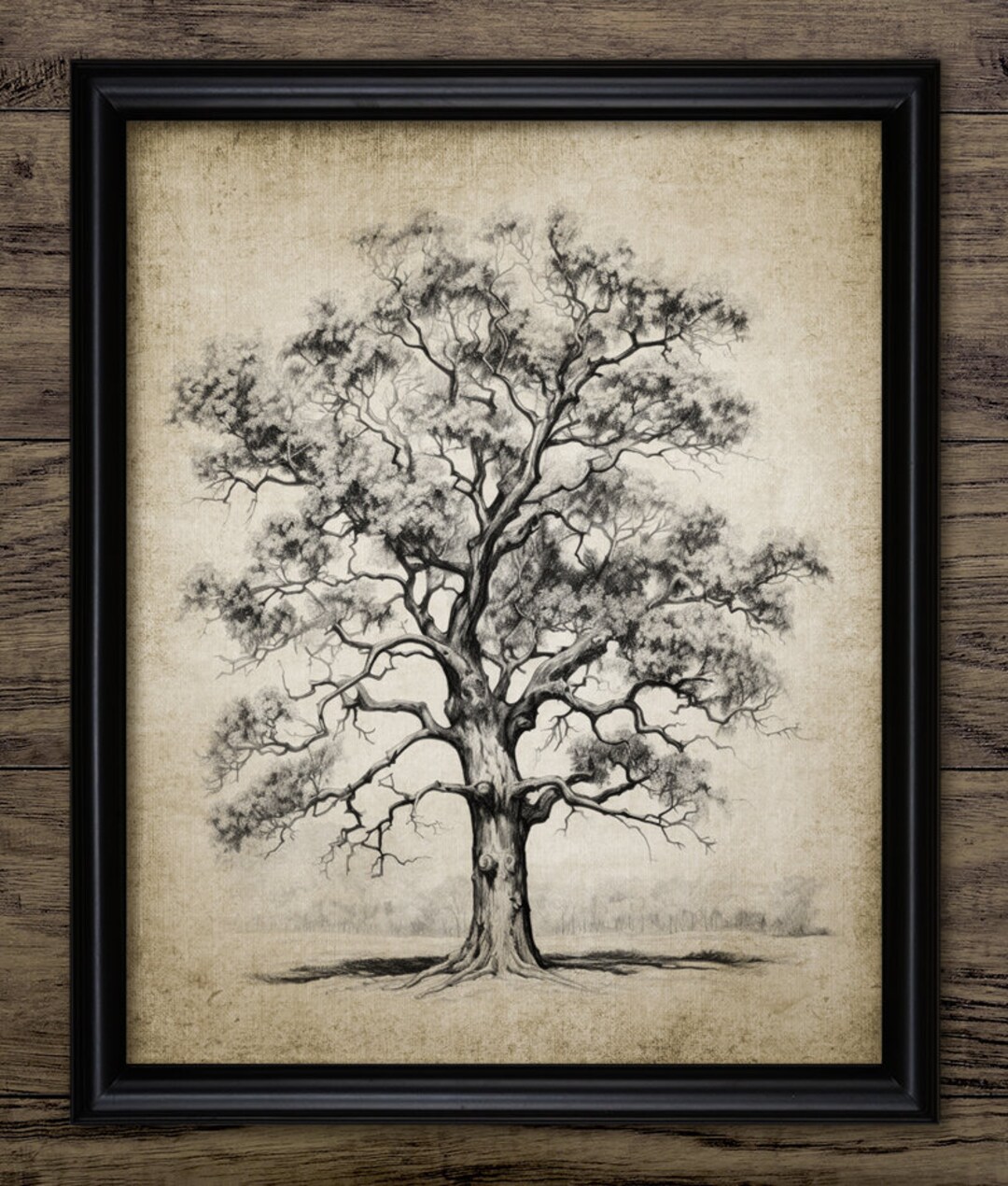 Vintage Oak Tree Drawing Wall Art, Printable Tree, Oak Tree Sketch, Forest, Woodland, Vintage