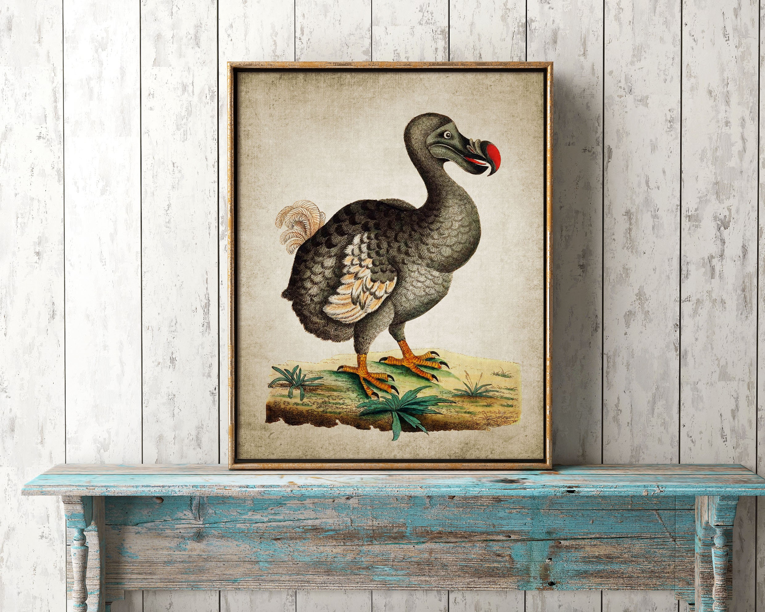 Dodo Wall Art, Printable Dodo Bird, Extinct Flightless Bird ...