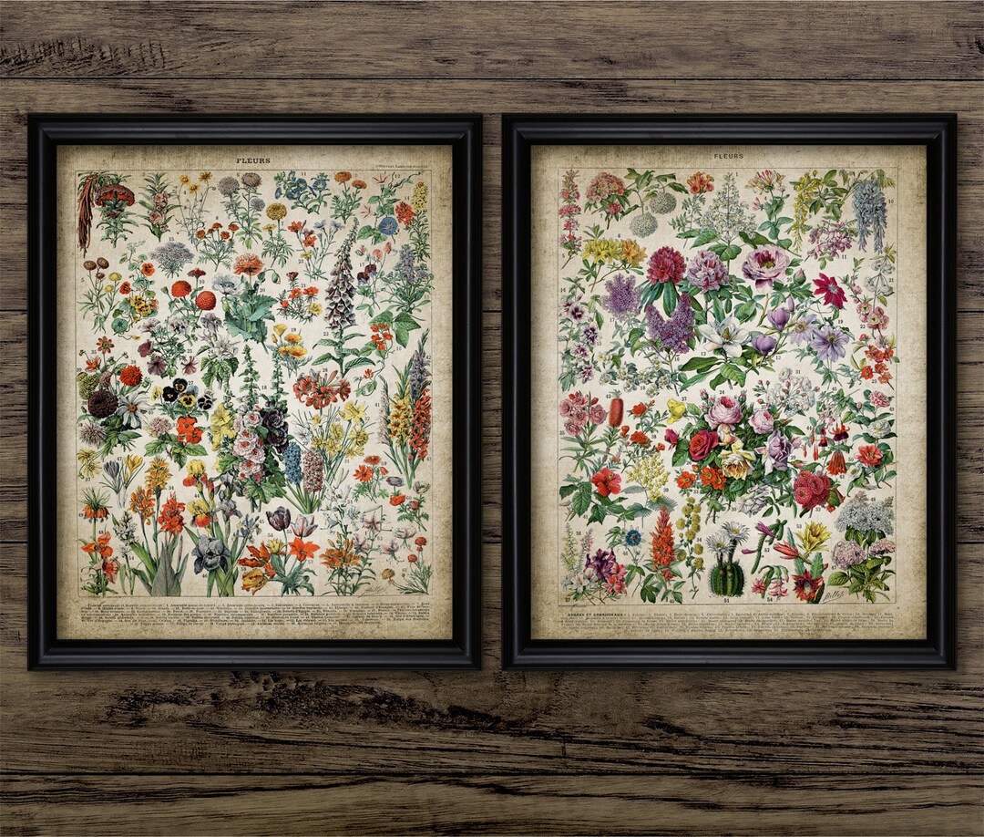 Vintage Flower Art Set of 2, Printable Flower Wall Art, Floral, Flowers ...