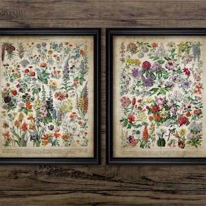 Vintage Flower Art Set Of 2, Printable Flower Wall Art, Floral, Flowers Vintage Botanical Art, Gardening #3578 INSTANT DOWNLOAD