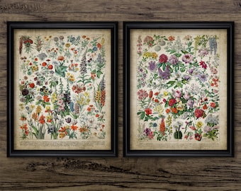 Vintage Flower Art Set Of 2, Printable Flower Wall Art, Floral, Flowers Vintage Botanical Art, Gardening #3578 INSTANT DOWNLOAD