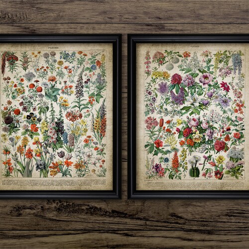 Vintage Flower Art Set Of 2, Printable Flower Wall Art, Floral, Flowers Vintage Botanical Art, Gardening #3578 INSTANT DOWNLOAD