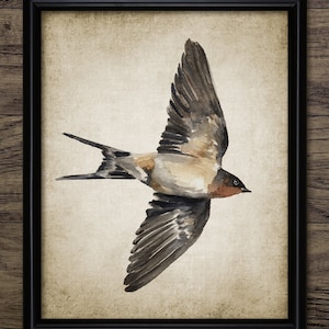 Könnte beinhalten: Ein Aquarellbild einer braunen und weißen Schwalbe im Flug vor einem beigefarbenen Hintergrund.