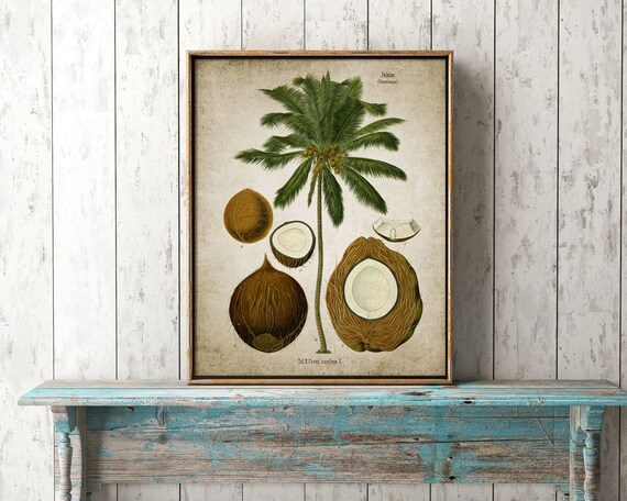Coconut Palm Tree Wall Art Print Rustic Kitchen Decor Palm Etsy