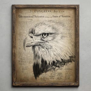 May include: Framed print featuring a detailed pen and ink drawing of a bald eagle's head. The eagle is set against a backdrop of the Declaration of Independence. The frame is made of dark wood, adding a rustic touch to the artwork.