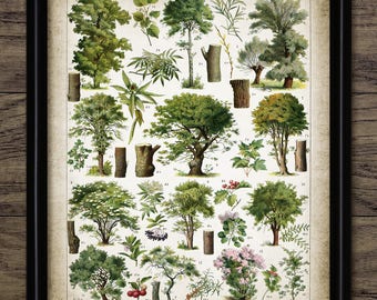 Tree Wall Art, Printable Tree Art, Vintage Trees, Vintage Botanical, Woodland, Forest Tree, Forest Living Room #2561 INSTANT DOWNLOAD