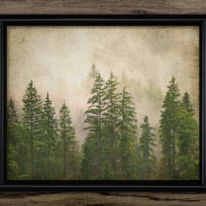 Forest Wall Art, Printable Forest, Forest Tree, Woodland Home Decor, Mountainside Trees, Forest Living Room Art #2329 INSTANT DOWNLOAD