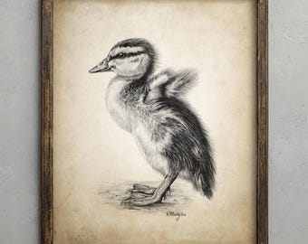 Duckling Pencil Drawing, Cute Duck Nursery Decor, Rustic Duck Wall Art, Baby Duck Sketch