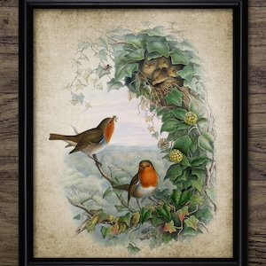 Robin Bird Wall Art, Vintage Digital Print, Printable European Robin, Rustic Instant Bird Print #4542 INSTANT DOWNLOAD