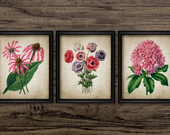Flower Print Set of 3 - Pink Botanical Art - Flower Decor - Digital Art - Printable Art - Set Of Three Prints #163 - INSTANT DOWNLOAD