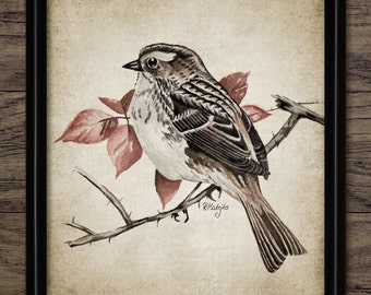 White-Throated Sparrow Print - American Sparrow Watercolor Bird Art - Digital Art - Printable Art - Single Print #1001 - INSTANT DOWNLOAD