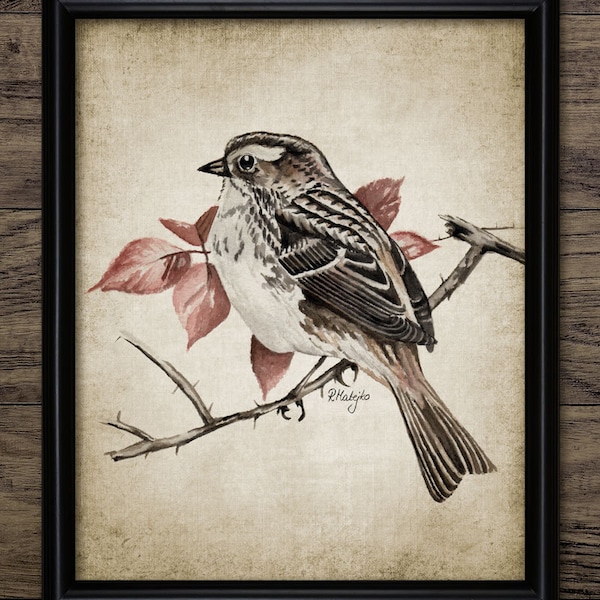 White-Throated Sparrow Print - American Sparrow Watercolor Bird Art - Digital Art - Printable Art - Single Print #1001 - INSTANT DOWNLOAD