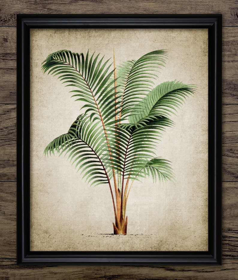 Palm Tree Wall Art Printable Tropical Art Beach House Palm - Etsy