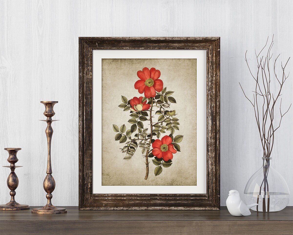 Wild Rose Wall Art Print Rustic House Decor Vintage Red Rose Etsy