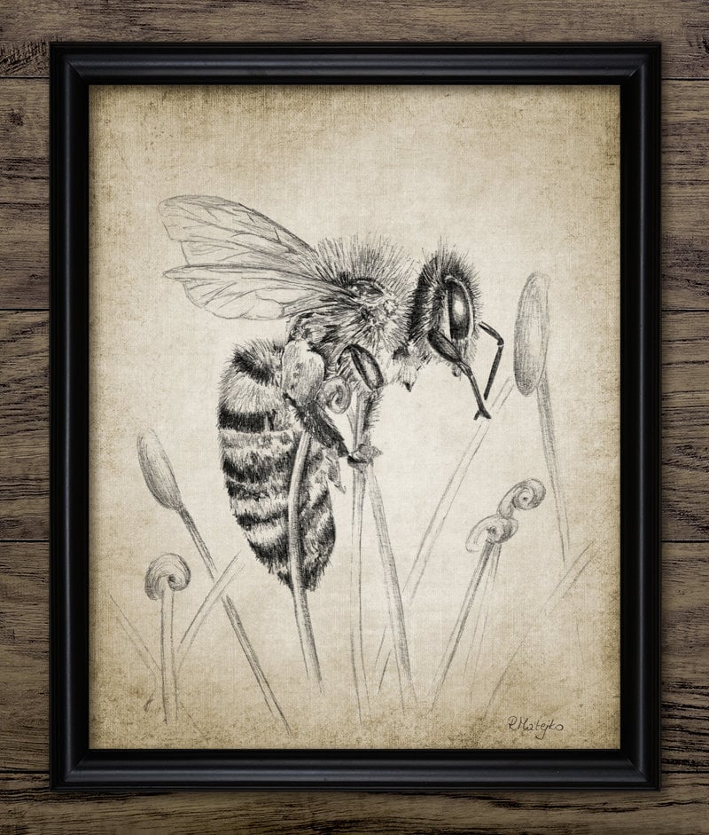Honey bee cartoon coloring book hires stock photography and images  Alamy