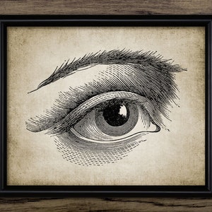 Human Eye Wall Art, Vintage Artist Eye Drawing, Human Eye Anatomy, Human Biology, Artistic Eye Drawing, Printable Eye #704 INSTANT DOWNLOAD