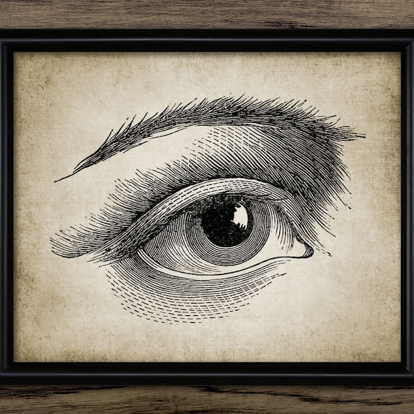 Human Eye Wall Art, vintage Artist Eye Drawing, Human Eye Anatomy, Human Biology, Artistic Eye Drawing, Printable Eye #704 TÉLÉCHARGEMENT INSTANTANÉ