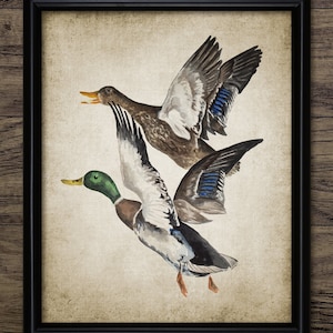 A Pair Of Flying Ducks Wall Art, Printable Duck Art, Duck Watercolour Painting, Game Bird Art, Duck Hunting #3408 INSTANT DOWNLOAD