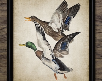 A Pair Of Flying Ducks Wall Art, Printable Duck Art, Duck Watercolour Painting, Game Bird Art, Duck Hunting #3408 INSTANT DOWNLOAD
