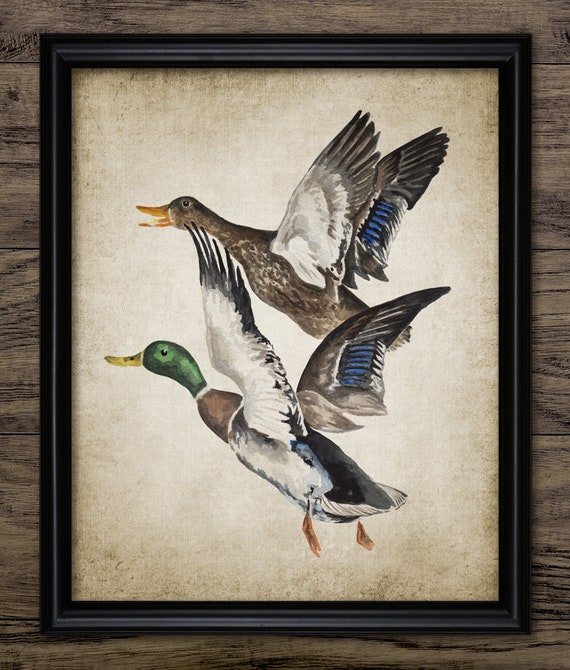 Build a Duck Blind for Less than $30 - Game & Fish