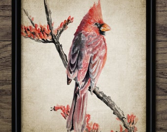 Northern Cardinal Wall Art, Printable Cardinal Bird Art Print, Cardinal Bird Painting, Bird Dining Room Decor #3575 INSTANT DOWNLOAD