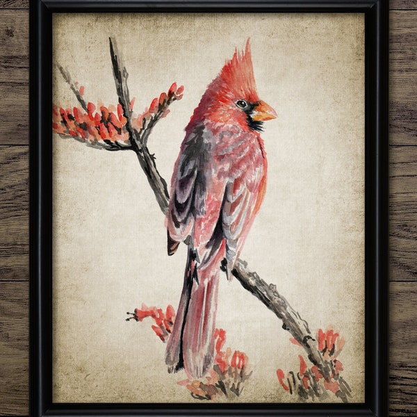 Northern Cardinal Wall Art, Printable Cardinal Bird Art Print, Cardinal Bird Painting, Bird Dining Room Decor #3575 INSTANT DOWNLOAD