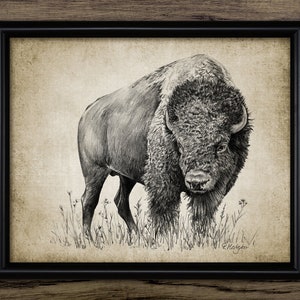 Bison Pencil Drawing, Printable Bison Drawing, North American Plains Buffalo, Rustic Cabin, European Bison #3954 INSTANT DOWNLOAD
