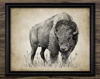Bison Buffalo Art Canvas Print Male Wildlife Drawing Sketch Wall Decor Painting Bison Buffalo Art Canvas Print Male Wildlife Drawing Sketch Wall Decor Painting