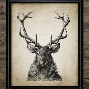 Stag Wall Art, Printable Stag Drawing, Buck Deer Antler, Fall Forest Animal, Autumn Woodland Deer, Deer Hunting #924 INSTANT DOWNLOAD